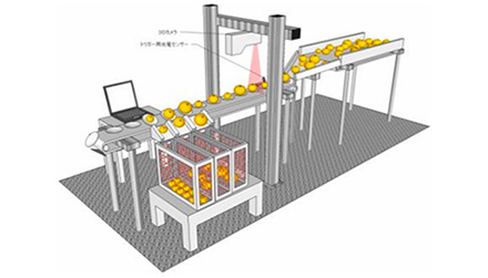 寸法と体積測定による仕分けシステム　検査ラインイメージ